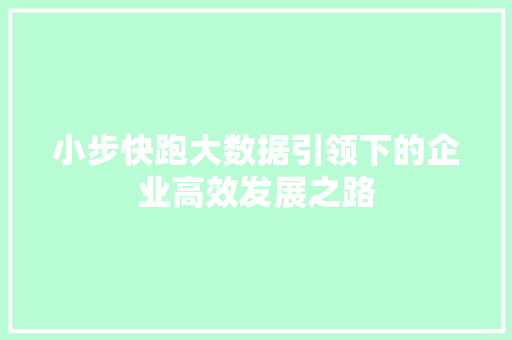 小步快跑大数据引领下的企业高效发展之路