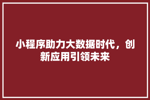 小程序助力大数据时代，创新应用引领未来