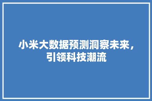 小米大数据预测洞察未来，引领科技潮流