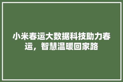 小米春运大数据科技助力春运，智慧温暖回家路