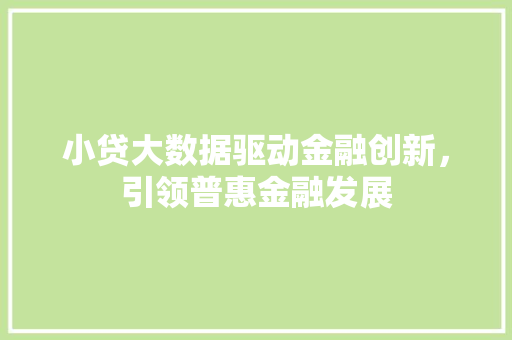 小贷大数据驱动金融创新，引领普惠金融发展