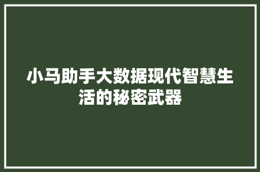 小马助手大数据现代智慧生活的秘密武器