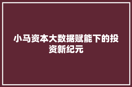 小马资本大数据赋能下的投资新纪元