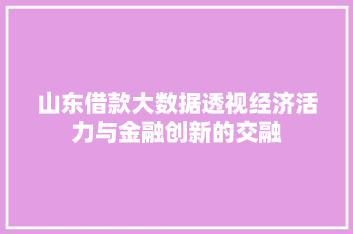 山东借款大数据透视经济活力与金融创新的交融