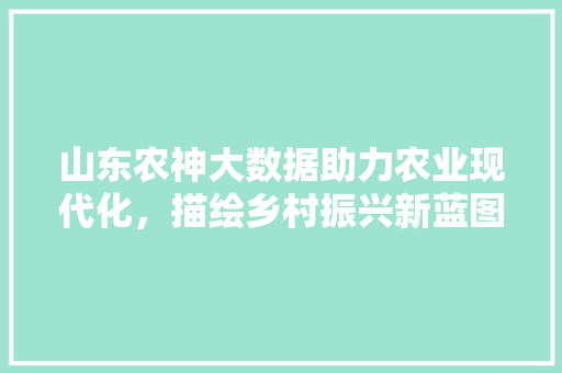 山东农神大数据助力农业现代化，描绘乡村振兴新蓝图