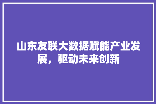 山东友联大数据赋能产业发展，驱动未来创新