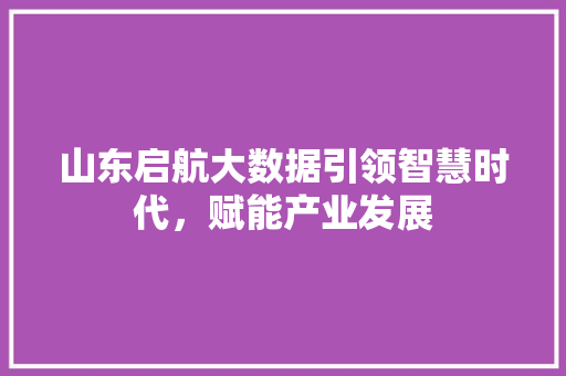 山东启航大数据引领智慧时代，赋能产业发展