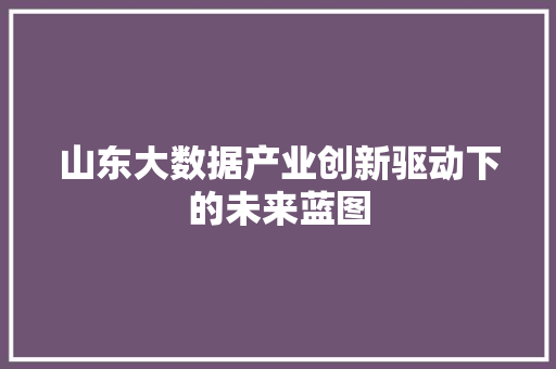 山东大数据产业创新驱动下的未来蓝图