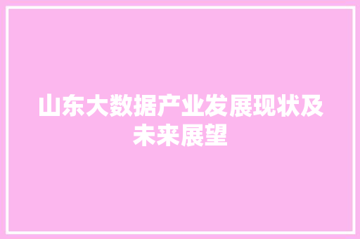 山东大数据产业发展现状及未来展望