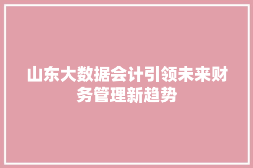 山东大数据会计引领未来财务管理新趋势