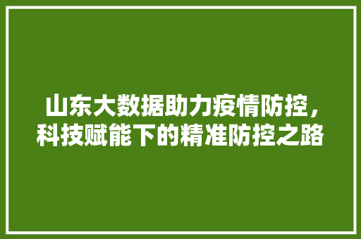 山东大数据助力疫情防控，科技赋能下的精准防控之路