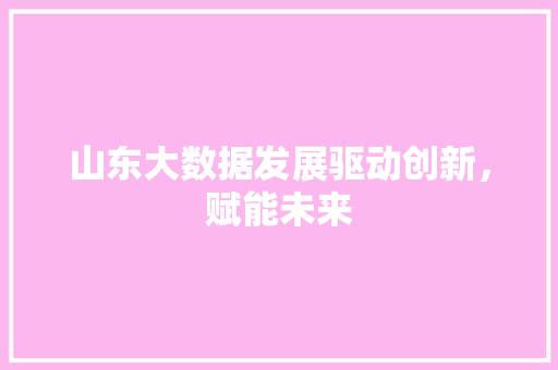 山东大数据发展驱动创新，赋能未来