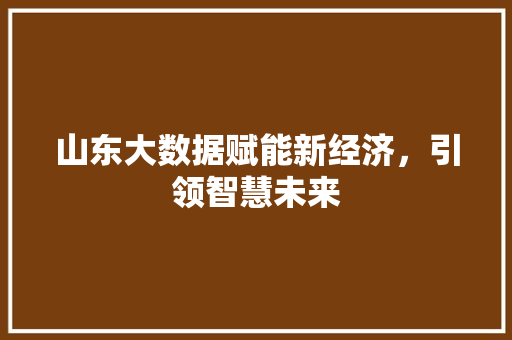山东大数据赋能新经济，引领智慧未来