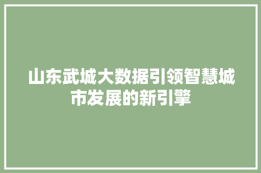 山东武城大数据引领智慧城市发展的新引擎