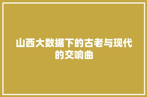山西大数据下的古老与现代的交响曲