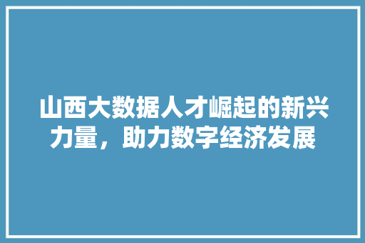 山西大数据人才崛起的新兴力量，助力数字经济发展