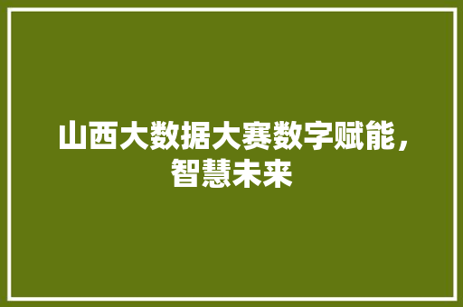 山西大数据大赛数字赋能，智慧未来