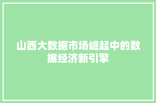 山西大数据市场崛起中的数据经济新引擎