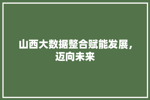 山西大数据整合赋能发展，迈向未来