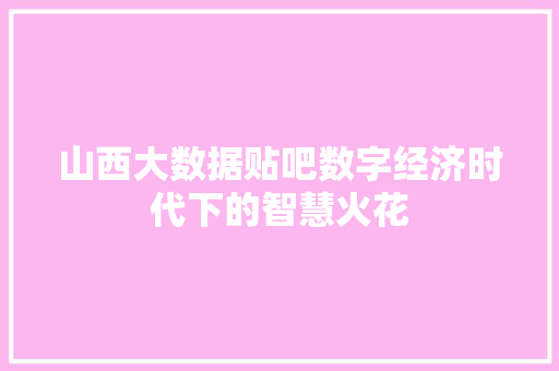 山西大数据贴吧数字经济时代下的智慧火花