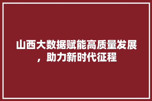 山西大数据赋能高质量发展，助力新时代征程