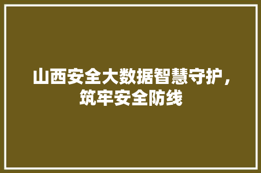 山西安全大数据智慧守护，筑牢安全防线