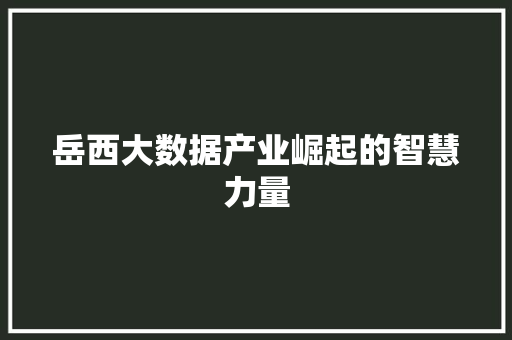 岳西大数据产业崛起的智慧力量