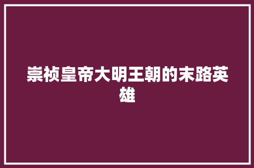 崇祯皇帝大明王朝的末路英雄
