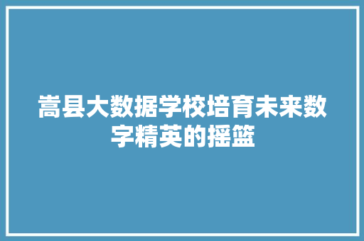 嵩县大数据学校培育未来数字精英的摇篮