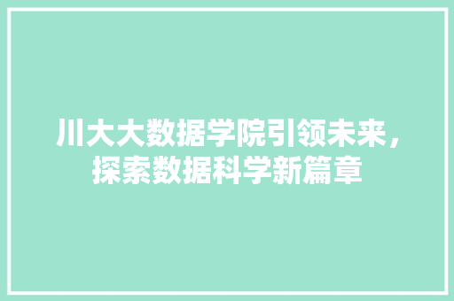 川大大数据学院引领未来，探索数据科学新篇章