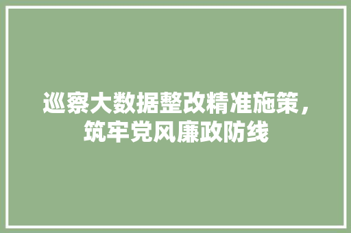 巡察大数据整改精准施策，筑牢党风廉政防线