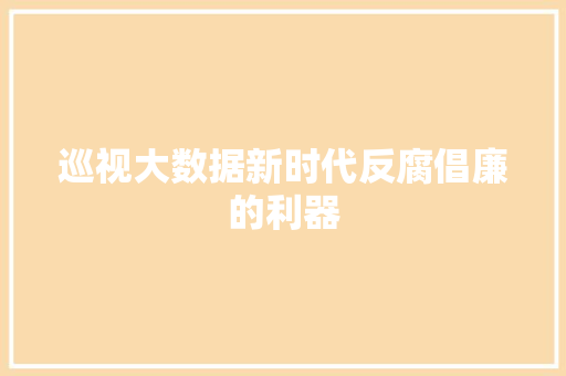 巡视大数据新时代反腐倡廉的利器