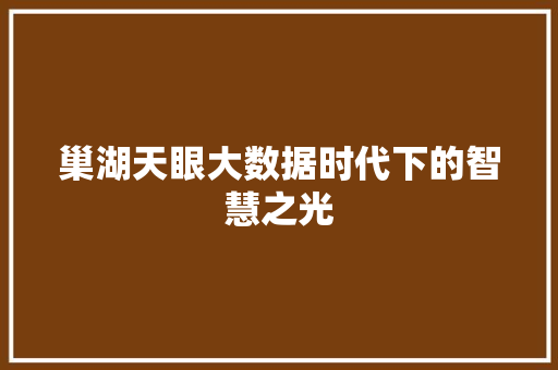 巢湖天眼大数据时代下的智慧之光