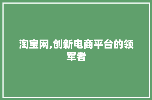 淘宝网,创新电商平台的领军者 淘宝网,创新电商平台的领军者 SEO教程