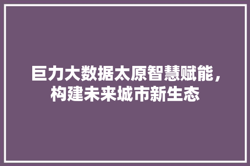 巨力大数据太原智慧赋能，构建未来城市新生态