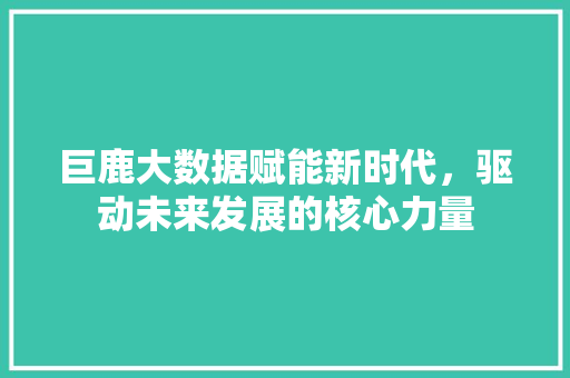 巨鹿大数据赋能新时代，驱动未来发展的核心力量