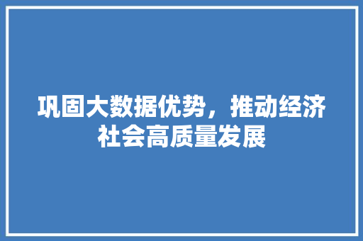 巩固大数据优势，推动经济社会高质量发展