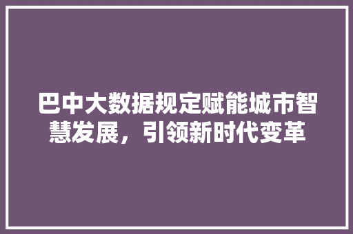 巴中大数据规定赋能城市智慧发展，引领新时代变革
