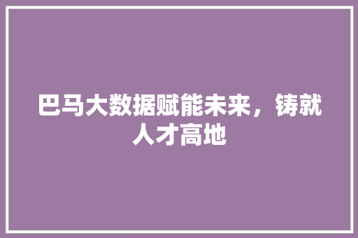 巴马大数据赋能未来，铸就人才高地