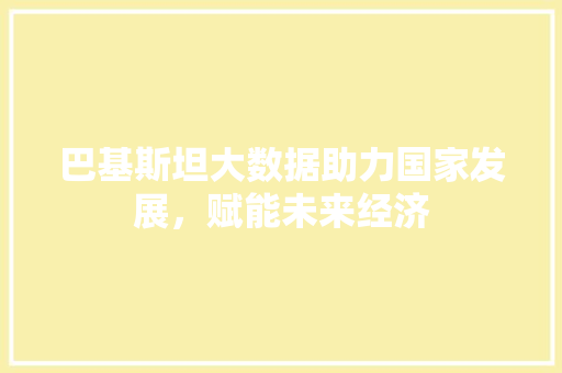 巴基斯坦大数据助力国家发展，赋能未来经济