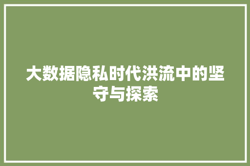 大数据隐私时代洪流中的坚守与探索