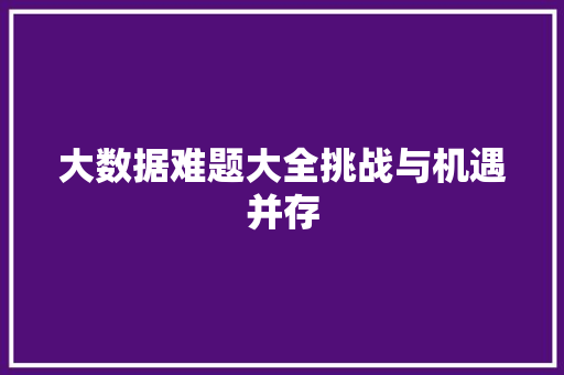 大数据难题大全挑战与机遇并存