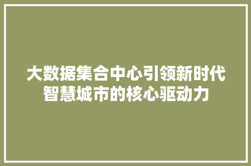 大数据集合中心引领新时代智慧城市的核心驱动力