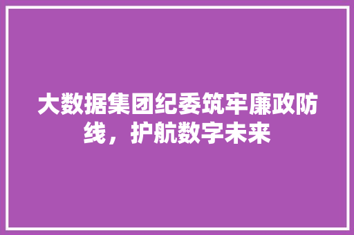 大数据集团纪委筑牢廉政防线，护航数字未来