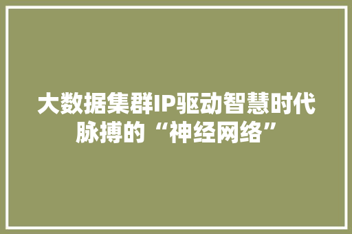 大数据集群IP驱动智慧时代脉搏的“神经网络”