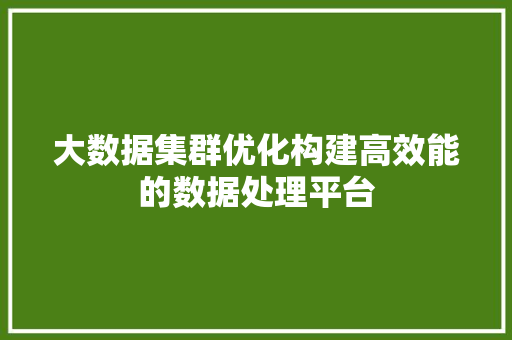大数据集群优化构建高效能的数据处理平台
