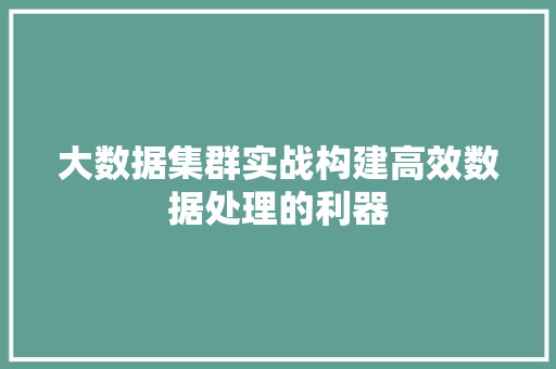 大数据集群实战构建高效数据处理的利器
