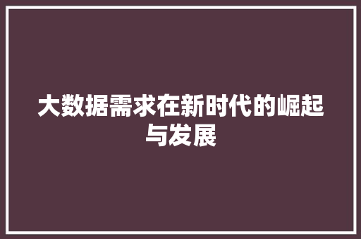 大数据需求在新时代的崛起与发展