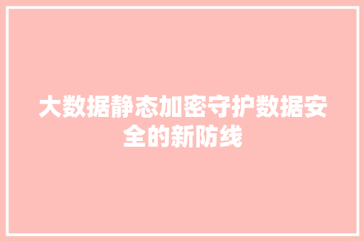 大数据静态加密守护数据安全的新防线