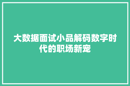 大数据面试小品解码数字时代的职场新宠